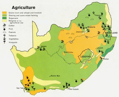 Agriculture of South Africa
